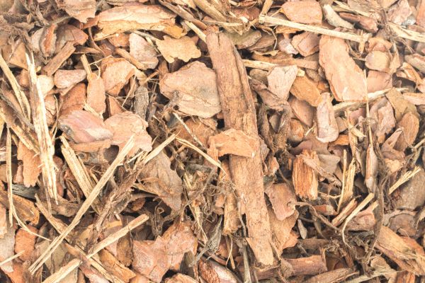 Bark Mulch Installation in Bella Vista