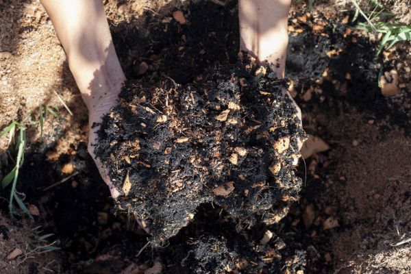 Organic Mulch Installation in Bella Vista