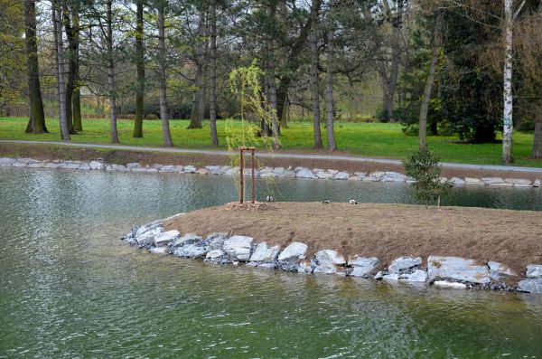 Pond Landscaping Service in Bella Vista
