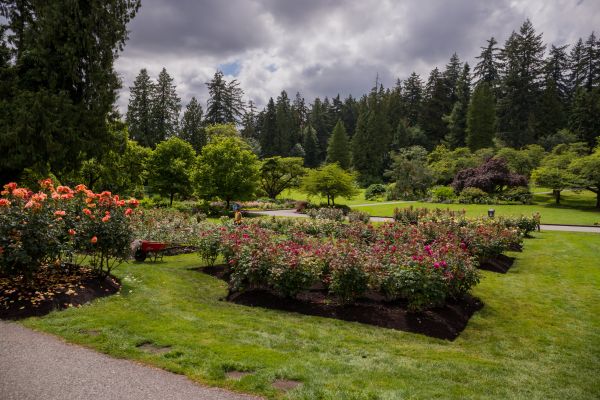 Flower Garden Landscaping in Bella Vista