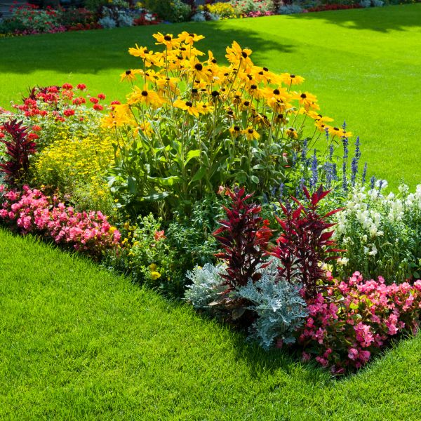 Landscape Installation