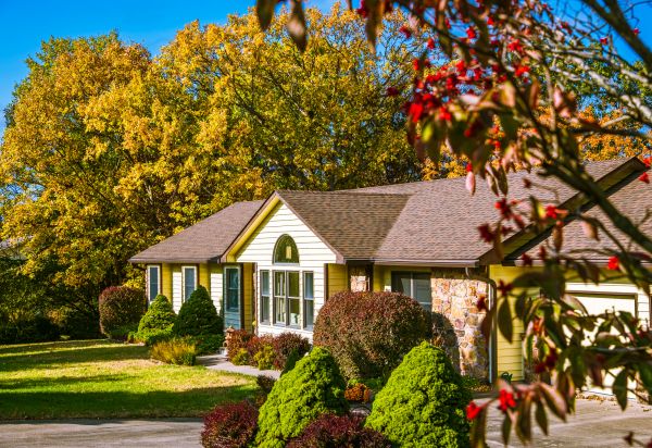 Ranch Landscaping in Bella Vista
