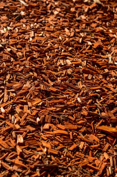 Cedar Mulch Spreading in Bella Vista