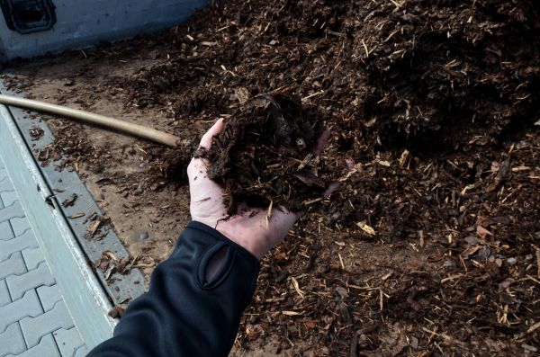 Condo Mulching in Bella Vista