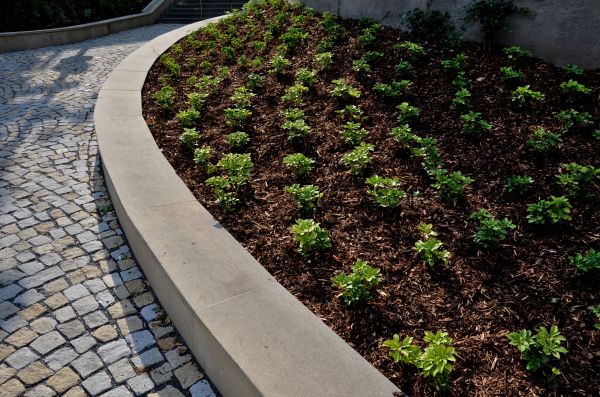 Commercial Mulching in Bella Vista