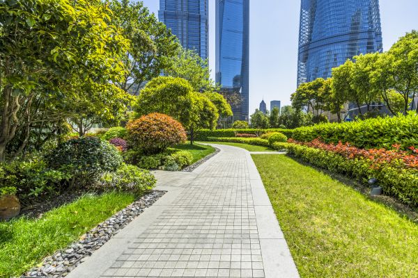 Commercial Landscaping in Bella Vista
